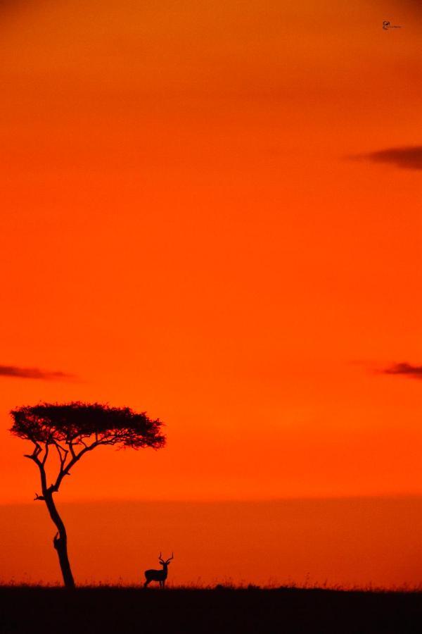 Lorian Safari Camp Limited Hotel Narok Екстериор снимка