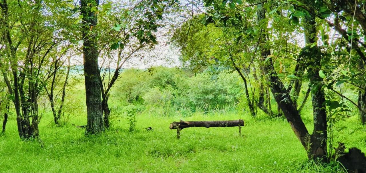 Lorian Safari Camp Limited Hotel Narok Екстериор снимка
